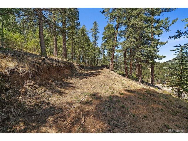 6855 Lynx Lair Rd, Evergreen, CO 80439