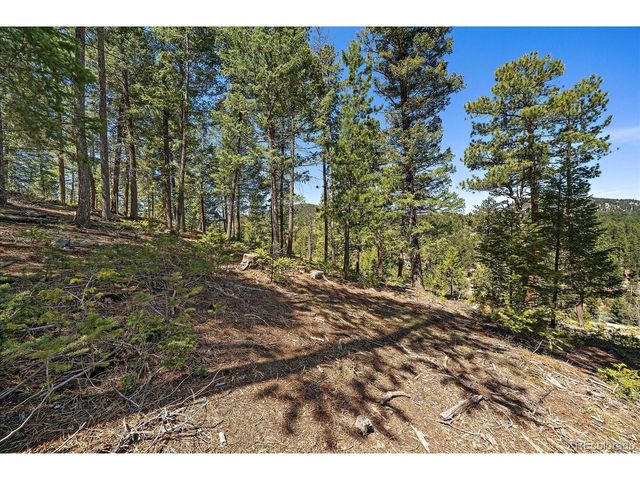 6855 Lynx Lair Rd, Evergreen, CO 80439
