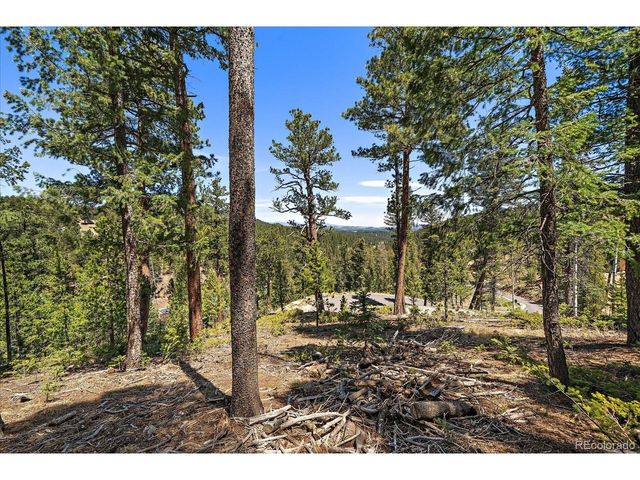 6855 Lynx Lair Rd, Evergreen, CO 80439
