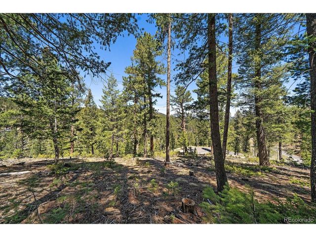 6855 Lynx Lair Rd, Evergreen, CO 80439