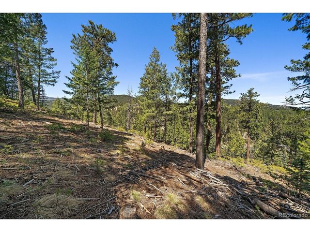 6855 Lynx Lair Rd, Evergreen, CO 80439