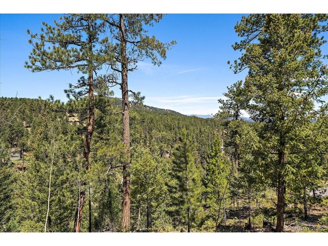 6855 Lynx Lair Rd, Evergreen, CO 80439