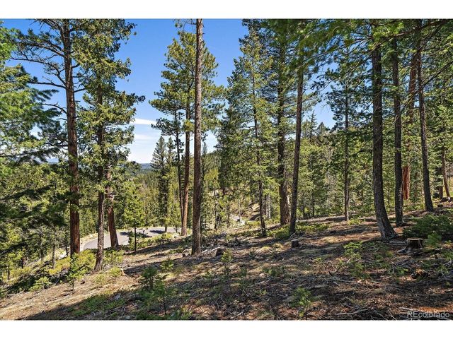 6855 Lynx Lair Rd, Evergreen, CO 80439