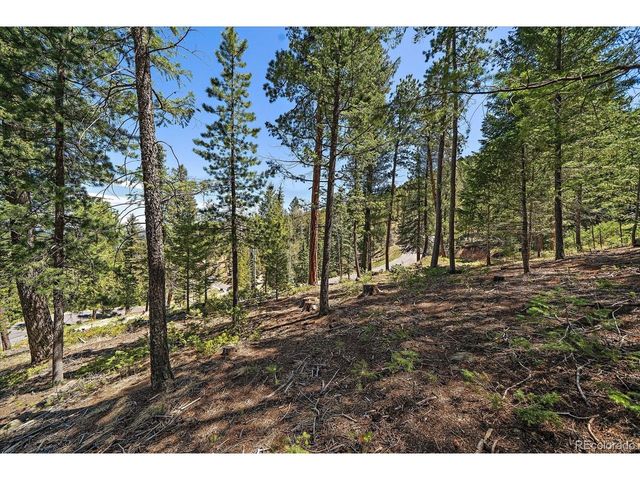 6855 Lynx Lair Rd, Evergreen, CO 80439