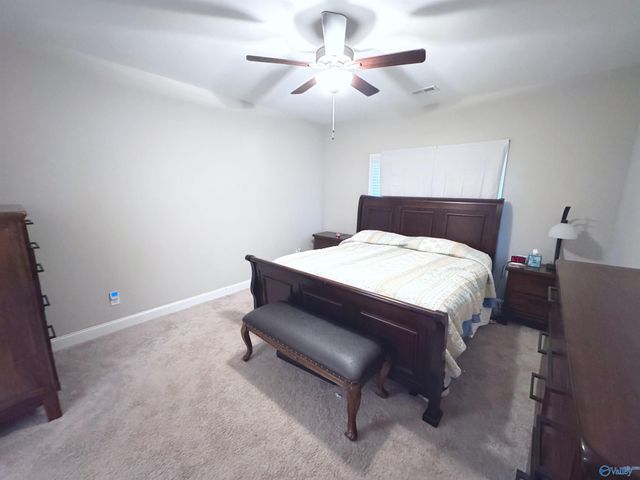 29419 Canoe Circle, Harvest, AL 35749