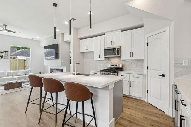 3722 Nathaniel Brown Street, Houston, TX 77021