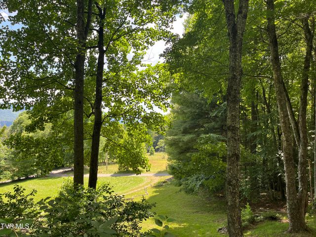 128 Overlook Lane, Mountain City, TN 37683