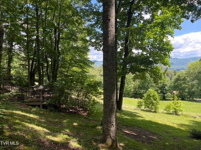 128 Overlook Lane, Mountain City, TN 37683