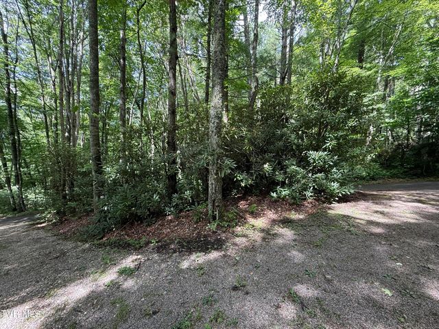 128 Overlook Lane, Mountain City, TN 37683