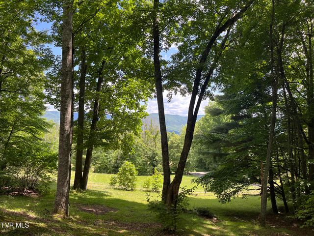 128 Overlook Lane, Mountain City, TN 37683