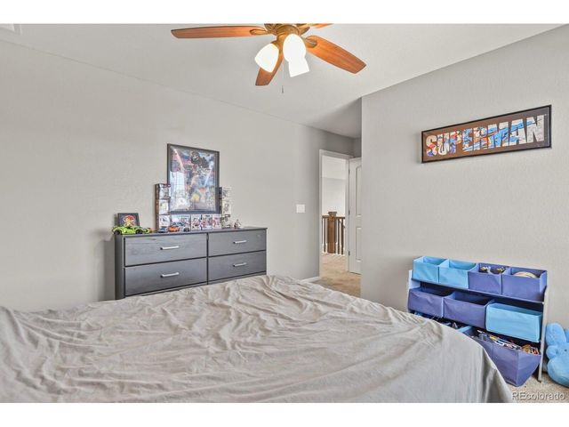 3625 Makley Cir, Castle Rock, CO 80104