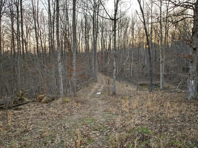 164 Brooks Ln, Erin, TN 37061