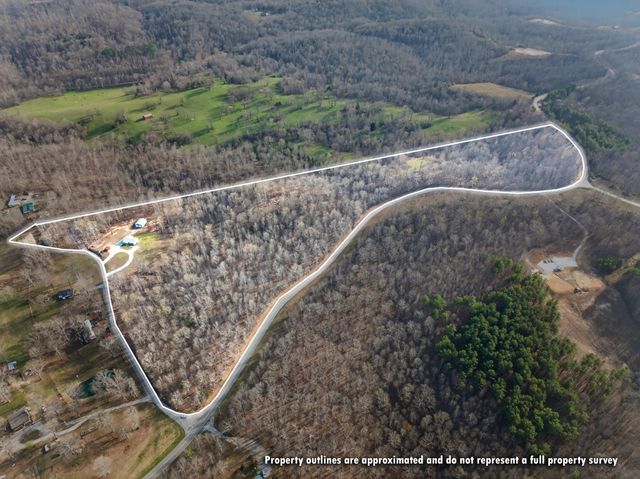 164 Brooks Ln, Erin, TN 37061