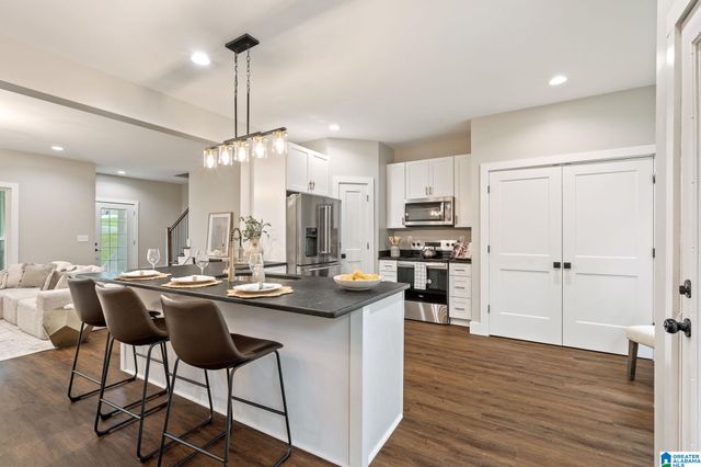 201 SHELBY FOREST CIRCLE, Chelsea, AL 35043
