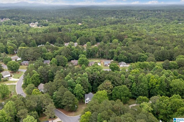 201 SHELBY FOREST CIRCLE, Chelsea, AL 35043
