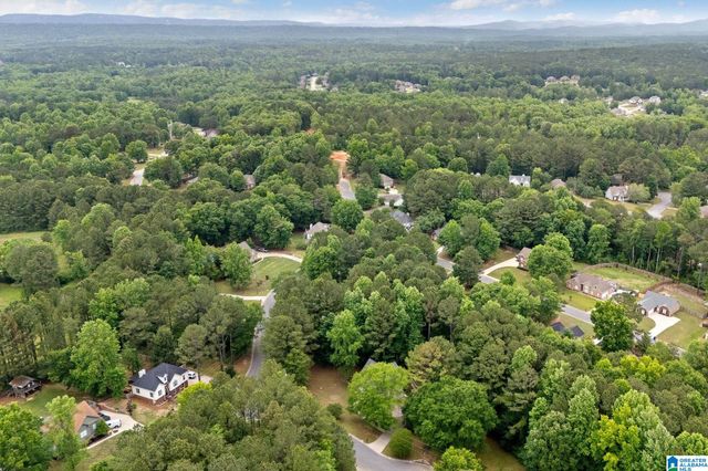 201 SHELBY FOREST CIRCLE, Chelsea, AL 35043