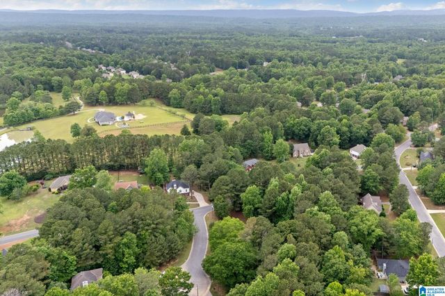 201 SHELBY FOREST CIRCLE, Chelsea, AL 35043