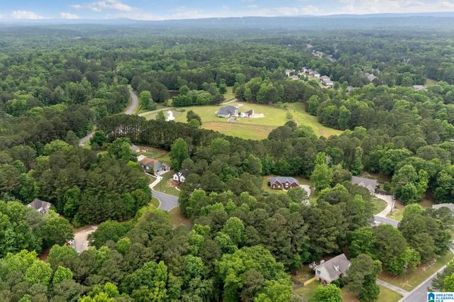 201 SHELBY FOREST CIRCLE, Chelsea, AL 35043