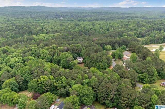 201 SHELBY FOREST CIRCLE, Chelsea, AL 35043