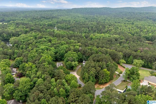201 SHELBY FOREST CIRCLE, Chelsea, AL 35043