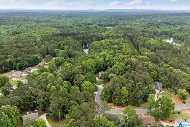 201 SHELBY FOREST CIRCLE, Chelsea, AL 35043
