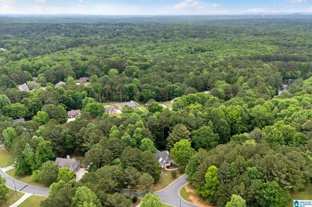 201 SHELBY FOREST CIRCLE, Chelsea, AL 35043