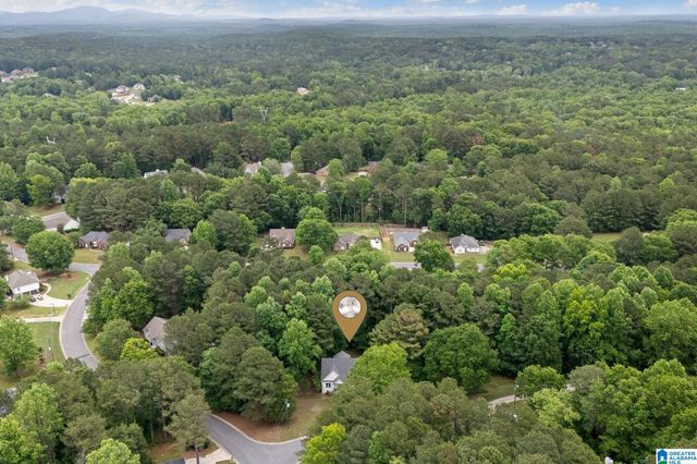201 SHELBY FOREST CIRCLE, Chelsea, AL 35043