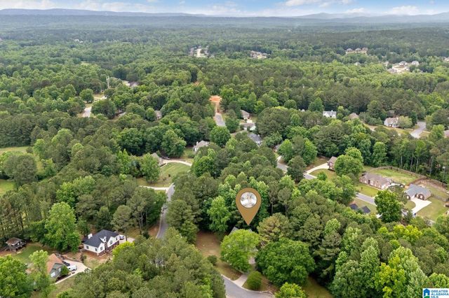 201 SHELBY FOREST CIRCLE, Chelsea, AL 35043
