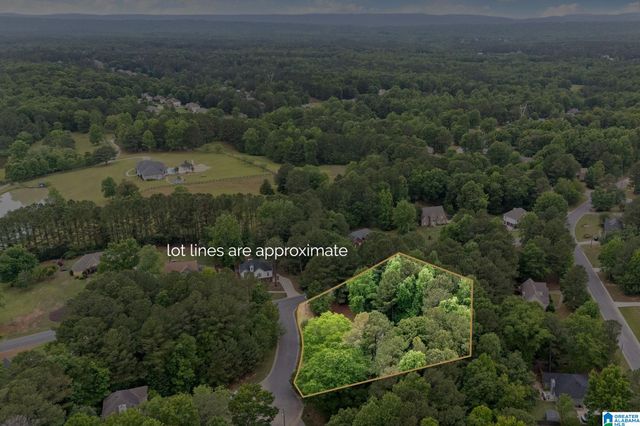 201 SHELBY FOREST CIRCLE, Chelsea, AL 35043