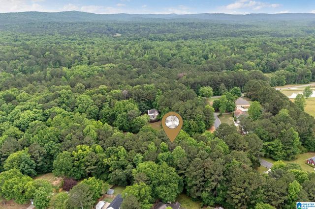 201 SHELBY FOREST CIRCLE, Chelsea, AL 35043