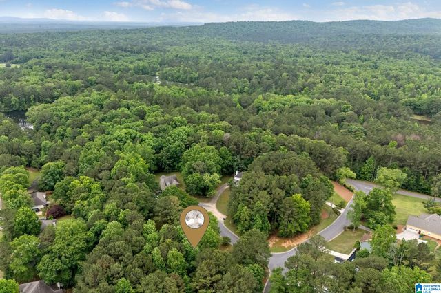 201 SHELBY FOREST CIRCLE, Chelsea, AL 35043
