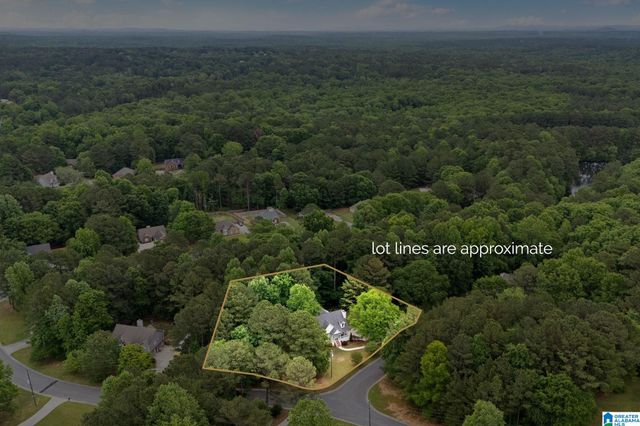 201 SHELBY FOREST CIRCLE, Chelsea, AL 35043