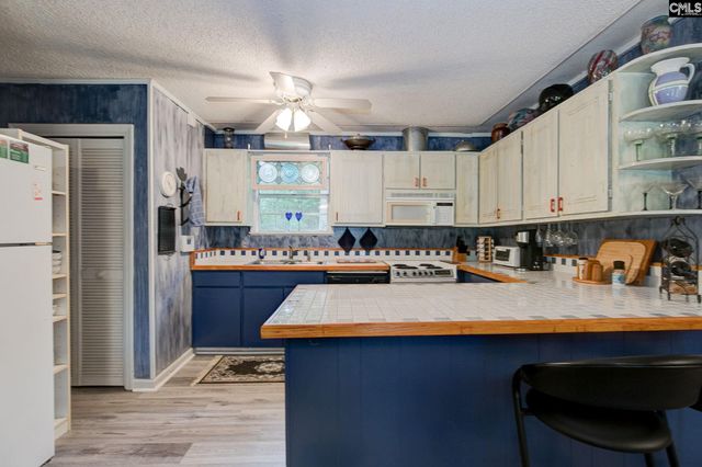 524 Lakemont Drive, Chapin, SC 29036