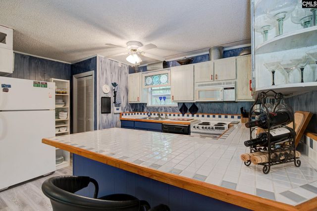 524 Lakemont Drive, Chapin, SC 29036