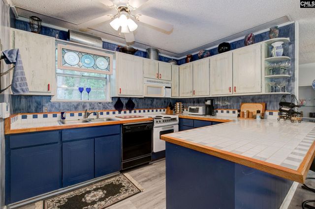 524 Lakemont Drive, Chapin, SC 29036