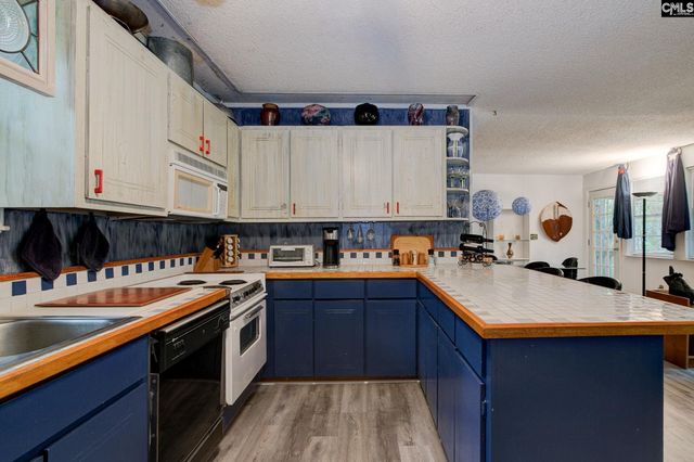 524 Lakemont Drive, Chapin, SC 29036
