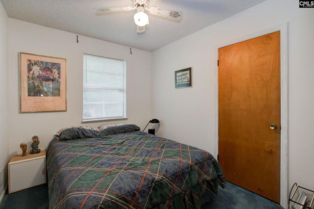 524 Lakemont Drive, Chapin, SC 29036