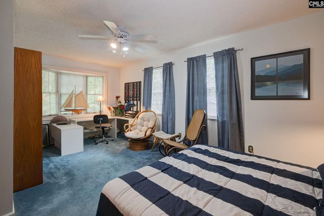 524 Lakemont Drive, Chapin, SC 29036