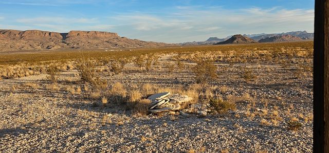 251 Warnock Rd, Terlingua, TX 79852