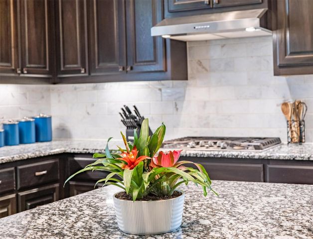 1004 Hezekiah LN, Leander, TX 78641