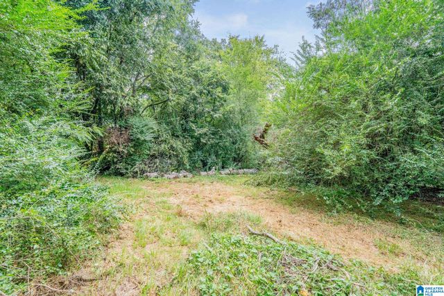 1225 BIRCHWOOD STREET, Birmingham, AL 35215