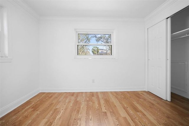 3087 DUANE AVENUE, Oldsmar, FL 34677