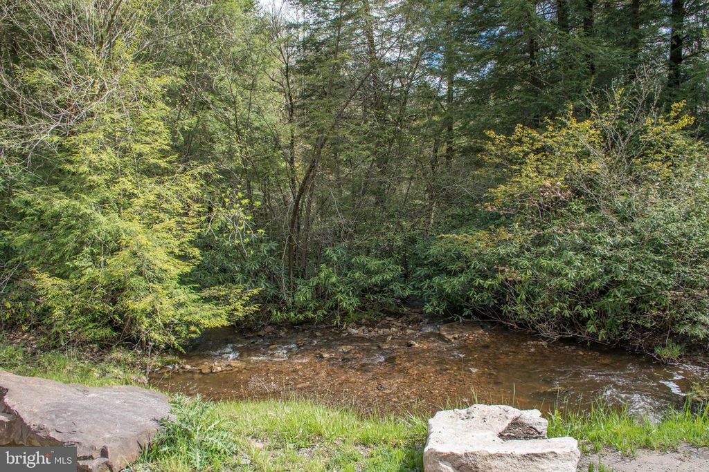 Image 55 of property listing at 2448 BIRCHWOOD DR, Oakland, MD 21550