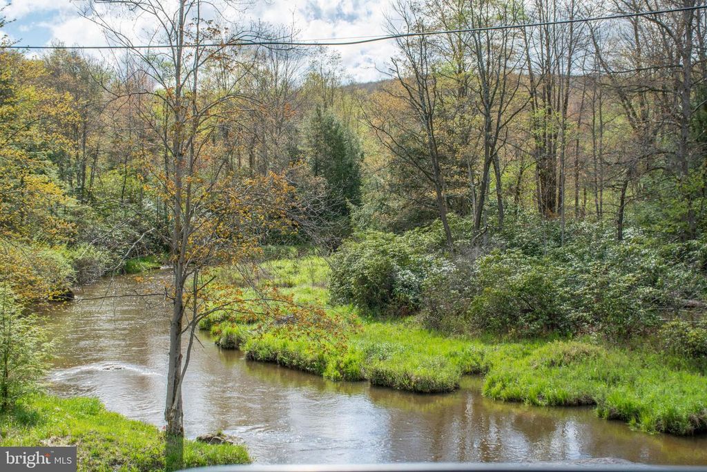 Image 57 of property listing at 2448 BIRCHWOOD DR, Oakland, MD 21550