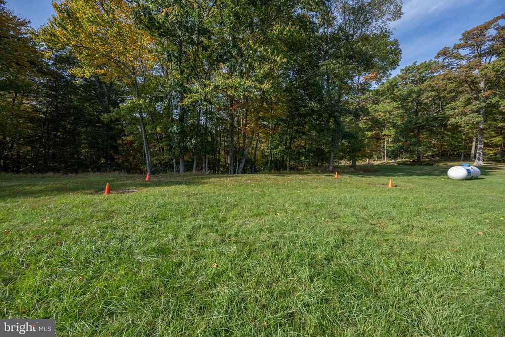 Image 67 of property listing at 2448 BIRCHWOOD DR, Oakland, MD 21550