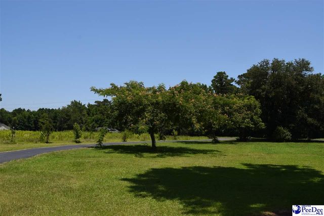 2617 Cale Yarborough Hwy, Timmonsville, SC 29161