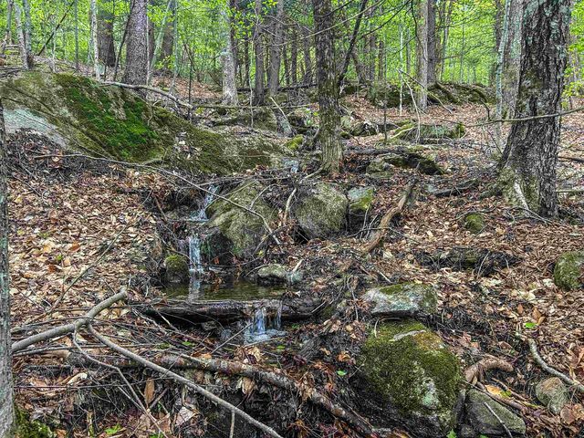 00 River Road, Groton, NH 03266
