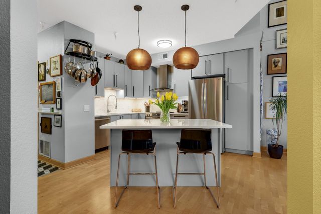 308 E 18th Street 303, Minneapolis, MN 55404