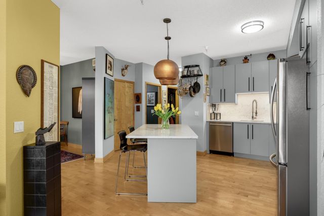 308 E 18th Street 303, Minneapolis, MN 55404