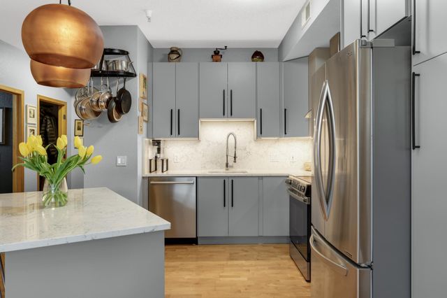 308 E 18th Street 303, Minneapolis, MN 55404